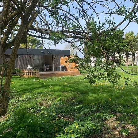 L'Endroit : Studio De Jardin Adapte Pmr 40M2 Aigrefeuille-dʼAunis Exteriér fotografie
